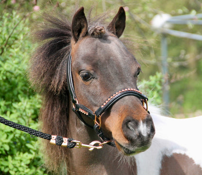 TiCi luxe lederen halster met bling "Valeria"