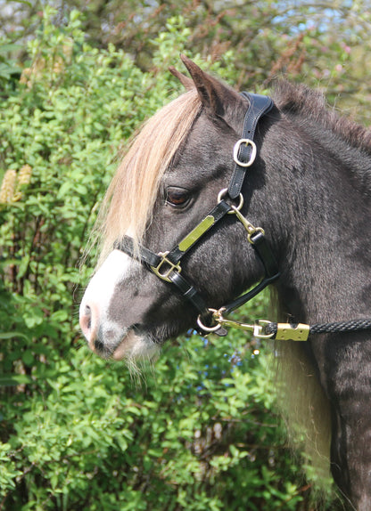 TiCi luxe anatomisch lederen halster "Bunga" met naamplaatje