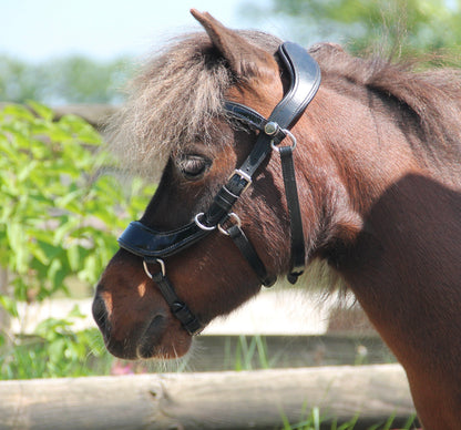 TiCi anatomisch hoofdstel "Dream" lakleder