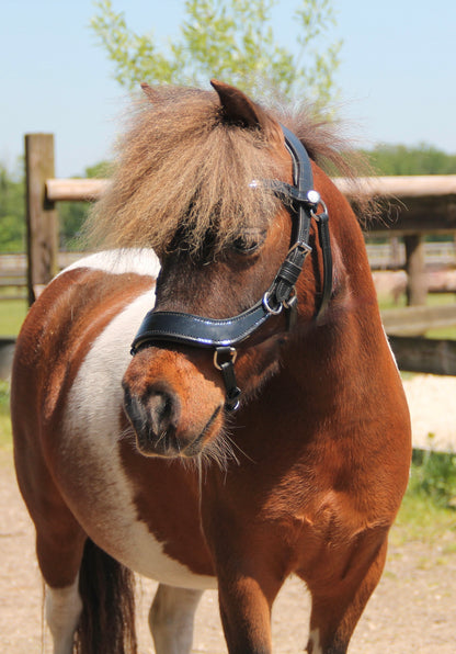 TiCi anatomisch hoofdstel "Dream" lakleder