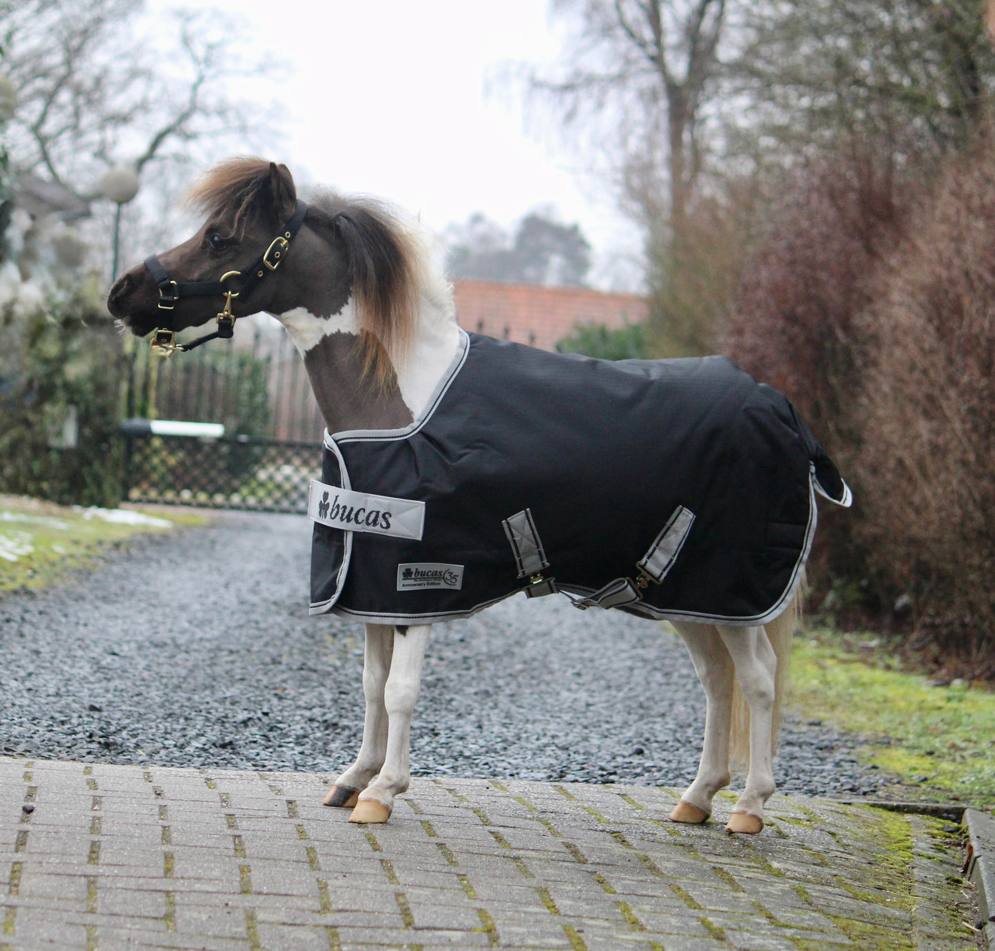 Bucas Anniversary Turnout 200 SF Mini