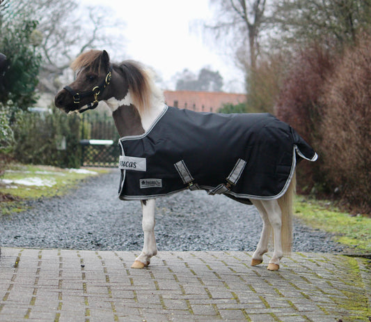 Bucas Anniversary Turnout 150 SD Mini