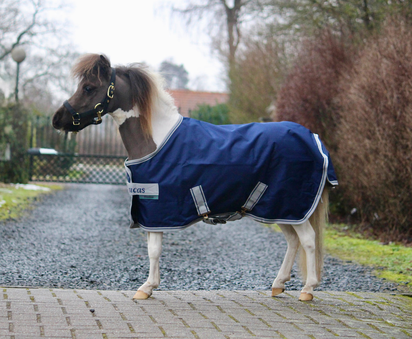 Bucas Freedom Turnout Light Mini