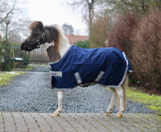 Bucas Freedom Turnout Light Mini