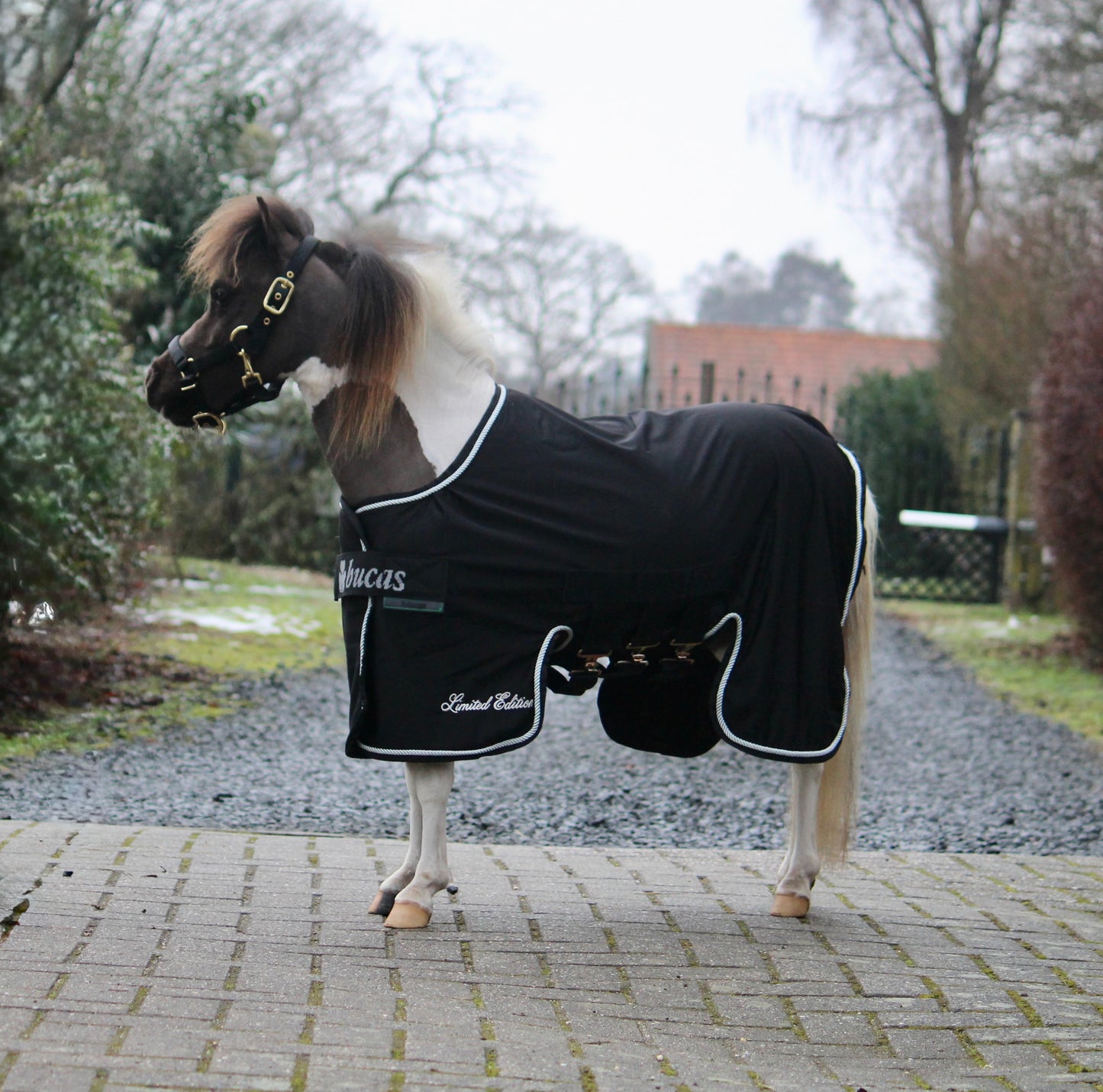 Bucas X-Range Cooler mini