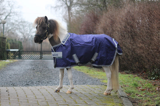 Bucas Atlantic Turnout 50 mini