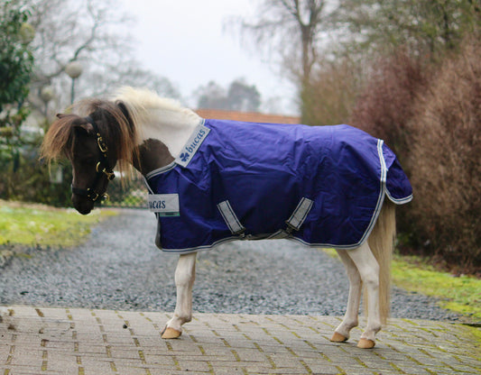 Bucas Atlantic Turnout 50 mini