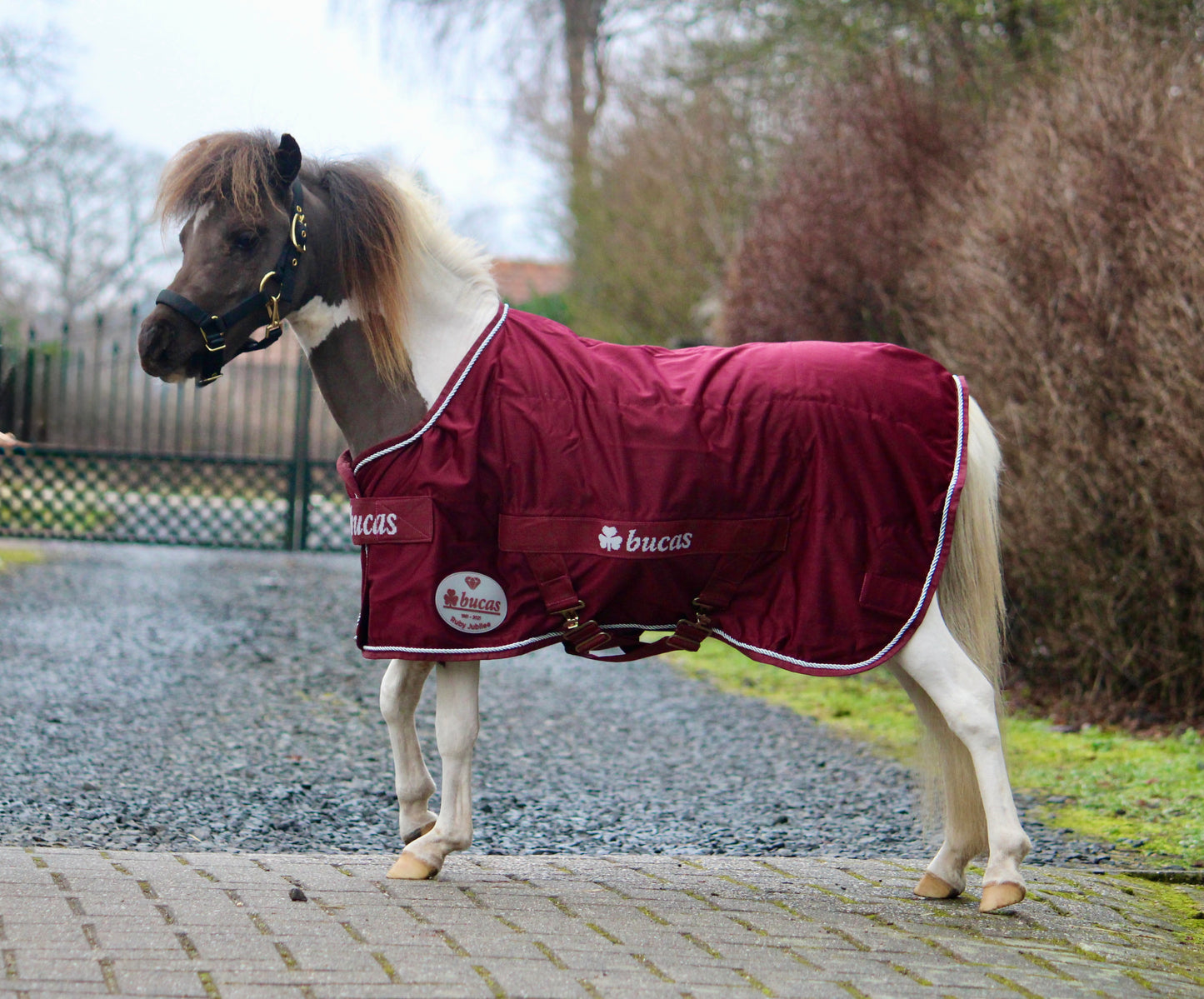 Bucas Jubilee Cooler Ruby mini