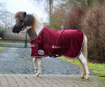 Bucas Jubilee Cooler Ruby mini