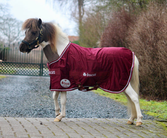 Bucas Jubilee Cooler Ruby mini