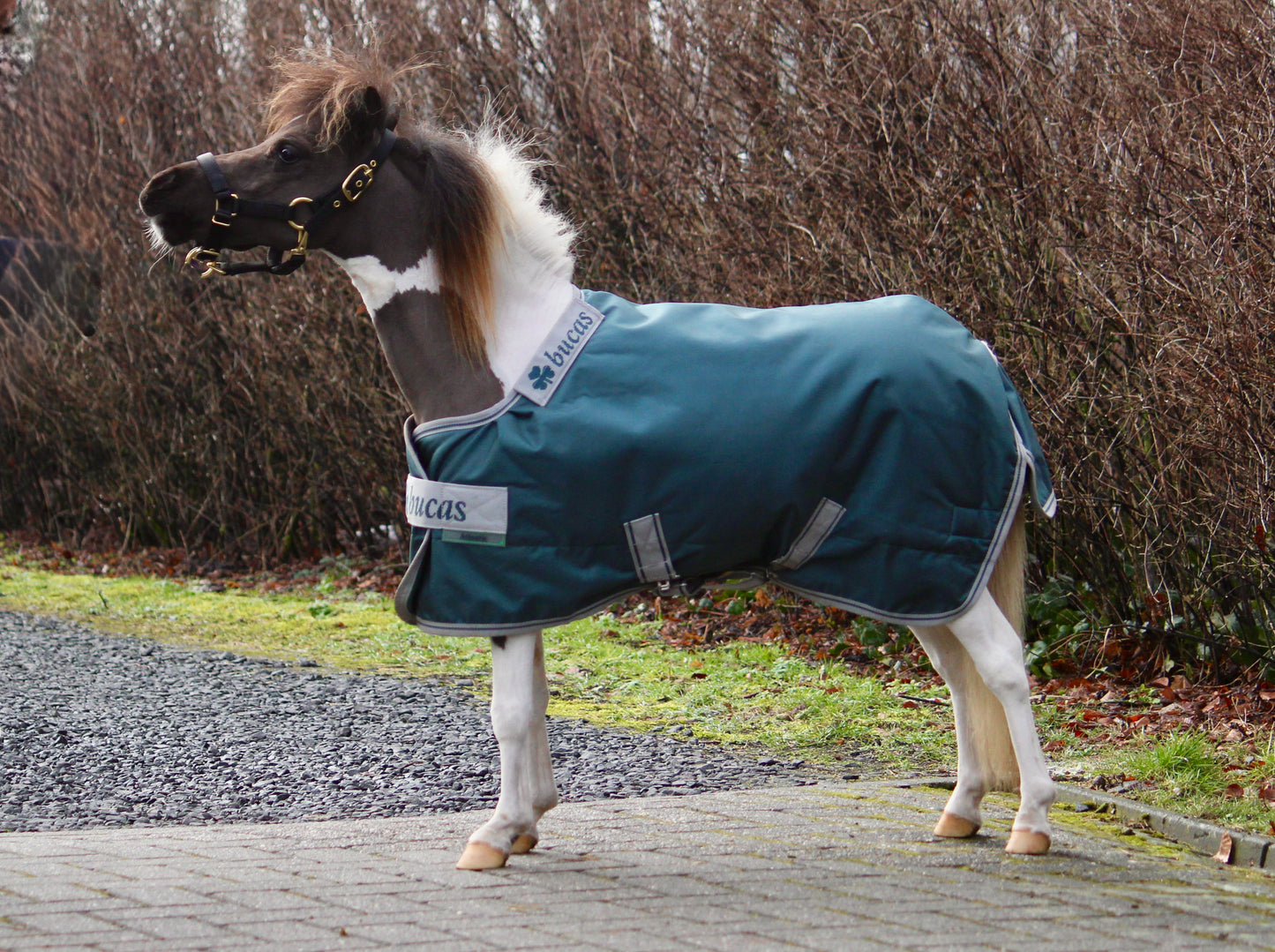 Bucas Atlantic Turnout 200 Mini