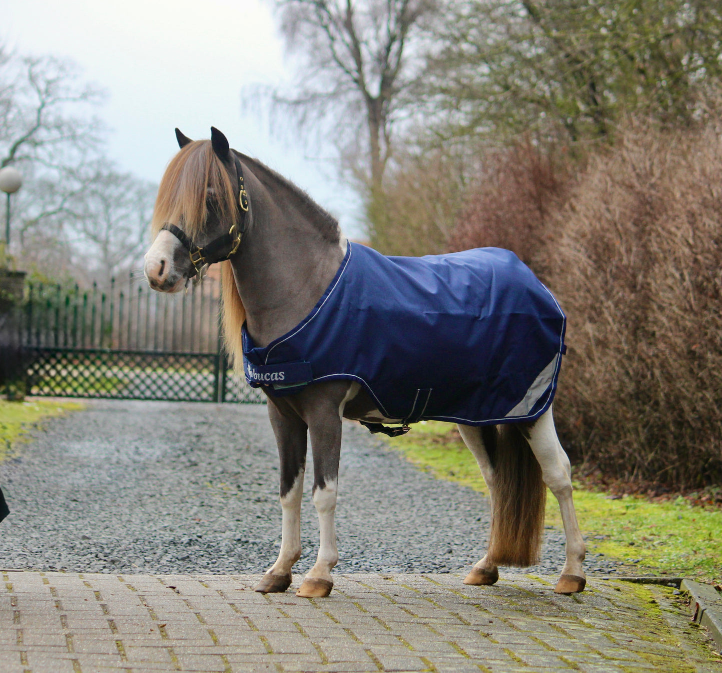 Bucas Walker Blanket Mini