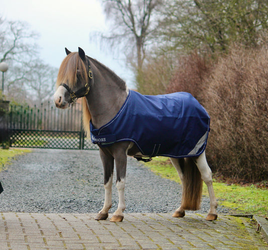 Bucas Walker Deken Mini