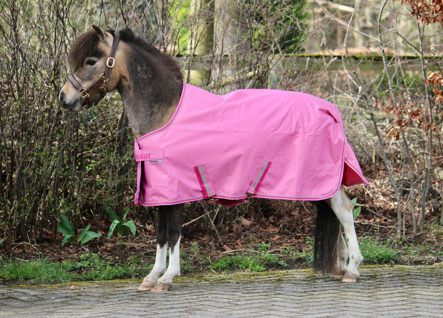 Bucas Freedom Turnout light pony