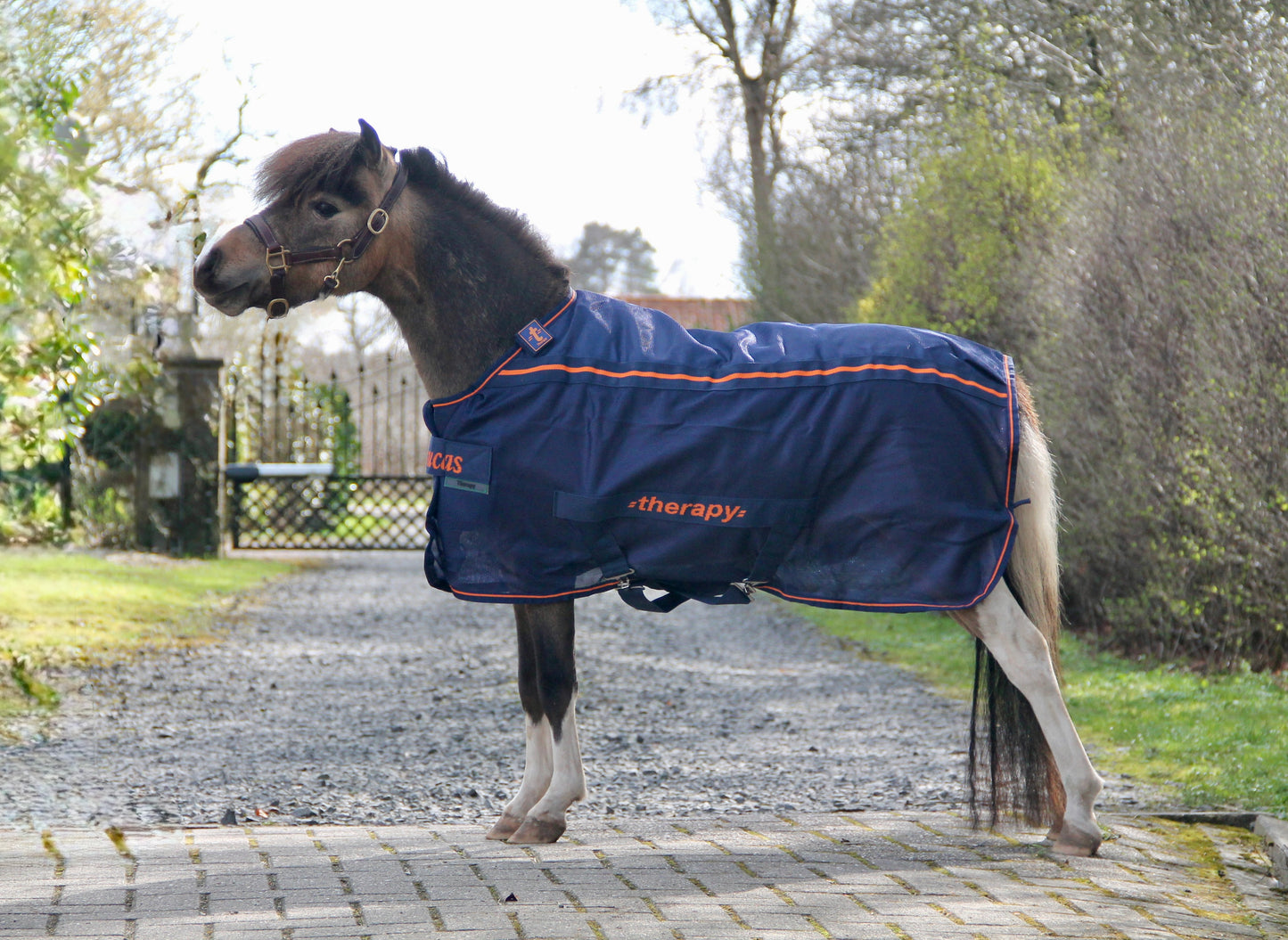 Bucas Therapy Mesh Cooler pony