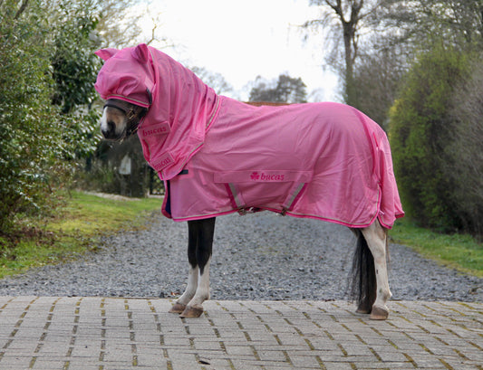 Bucas Freedom Fly Sheet pony