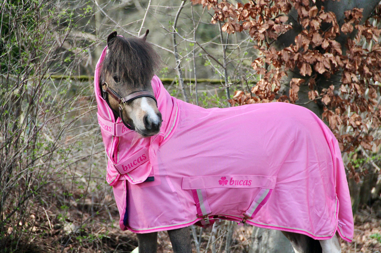 Bucas Freedom Fly Sheet pony