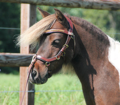 TiCi anatomisch multi hoofdstel