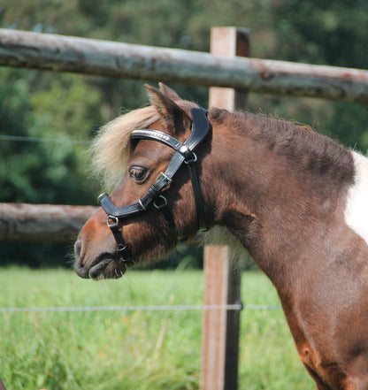 TiCi anatomisch multi hoofdstel