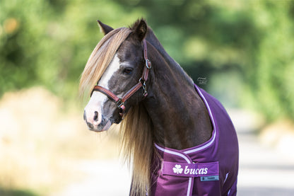 TiCi luxe lederen halster "Braided Black"