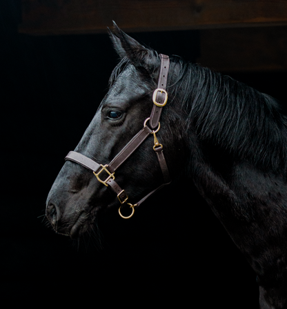 TiCi luxe lederen halster "Pierre"