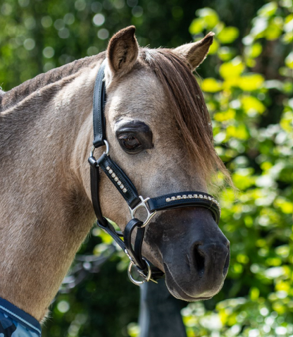 TiCi luxe lederen halster met bling "Valeria"