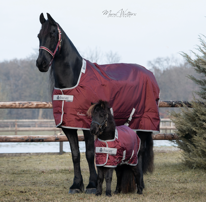 Bucas Atlantic Exclusive Turnout Light Mini