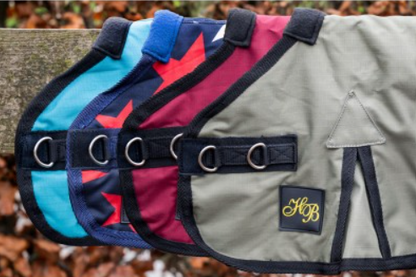 HB mini veulendekens