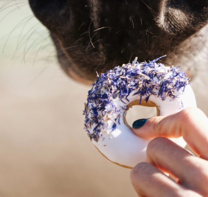 Candy Horse Donuts korenbloem + rozenbottel