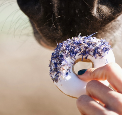 Candy Horse Donuts korenbloem + rozenbottel