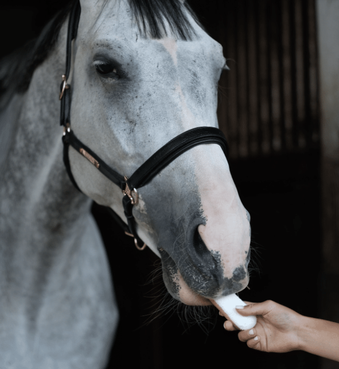 Candy Horse Coconut Éclair | Uniek paardensnoepje met glazuur en echte kokos
