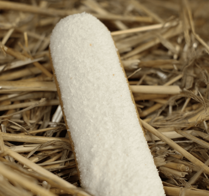 Candy Horse Coconut Éclair | Uniek paardensnoepje met glazuur en echte kokos