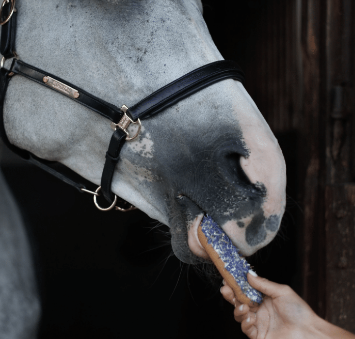 Horse Candy: Cornflower Éclair | Uniek paardensnoepje met glazuur en echte korenbloemblaadjes