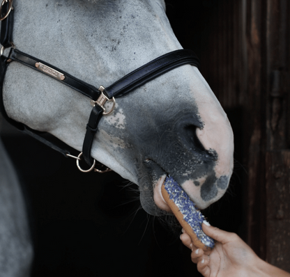 Horse Candy: Cornflower Éclair | Uniek paardensnoepje met glazuur en echte korenbloemblaadjes