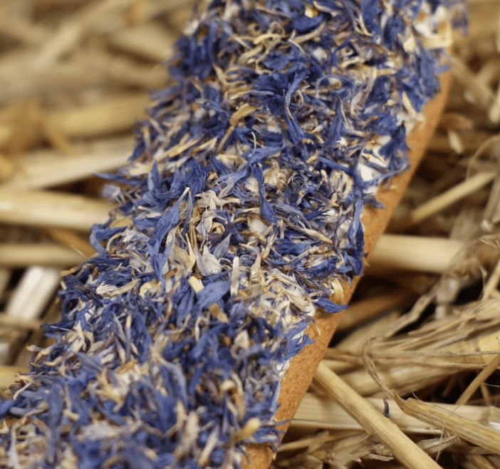 Horse Candy: Cornflower Éclair | Uniek paardensnoepje met glazuur en echte korenbloemblaadjes