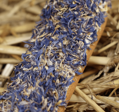 Horse Candy: Cornflower Éclair | Uniek paardensnoepje met glazuur en echte korenbloemblaadjes