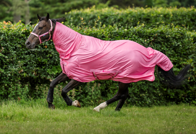 Bucas Freedom Fly Sheet pony