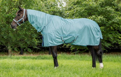 Bucas Freedom Fly Sheet pony