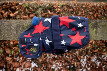 HB mini veulendekens