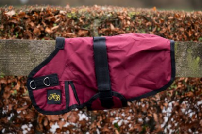 HB mini veulendekens