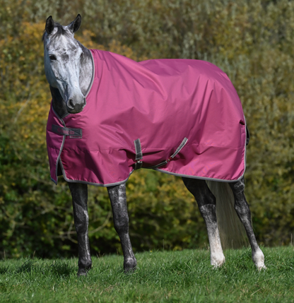 Bucas Freedom Turnout light pony