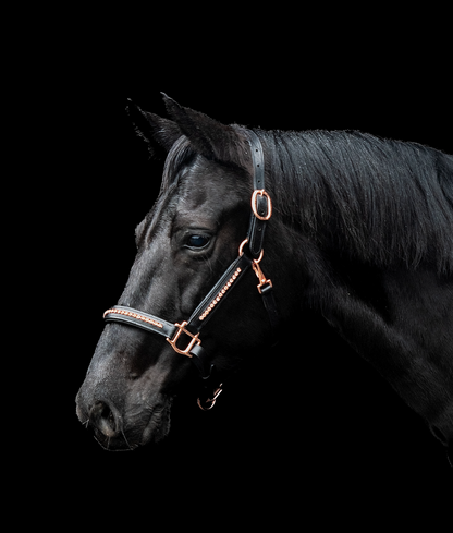 TiCi luxe lederen halster met bling "Valeria"