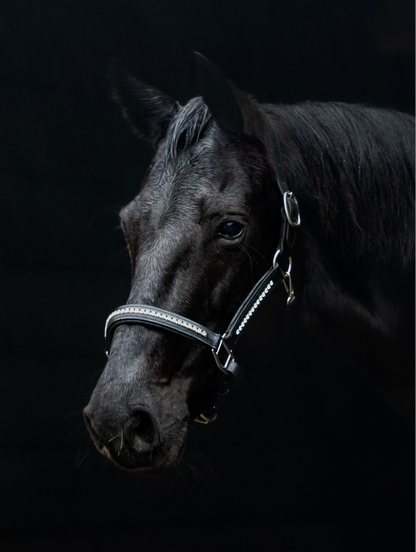 TiCi luxe lederen halster met bling "Valeria"