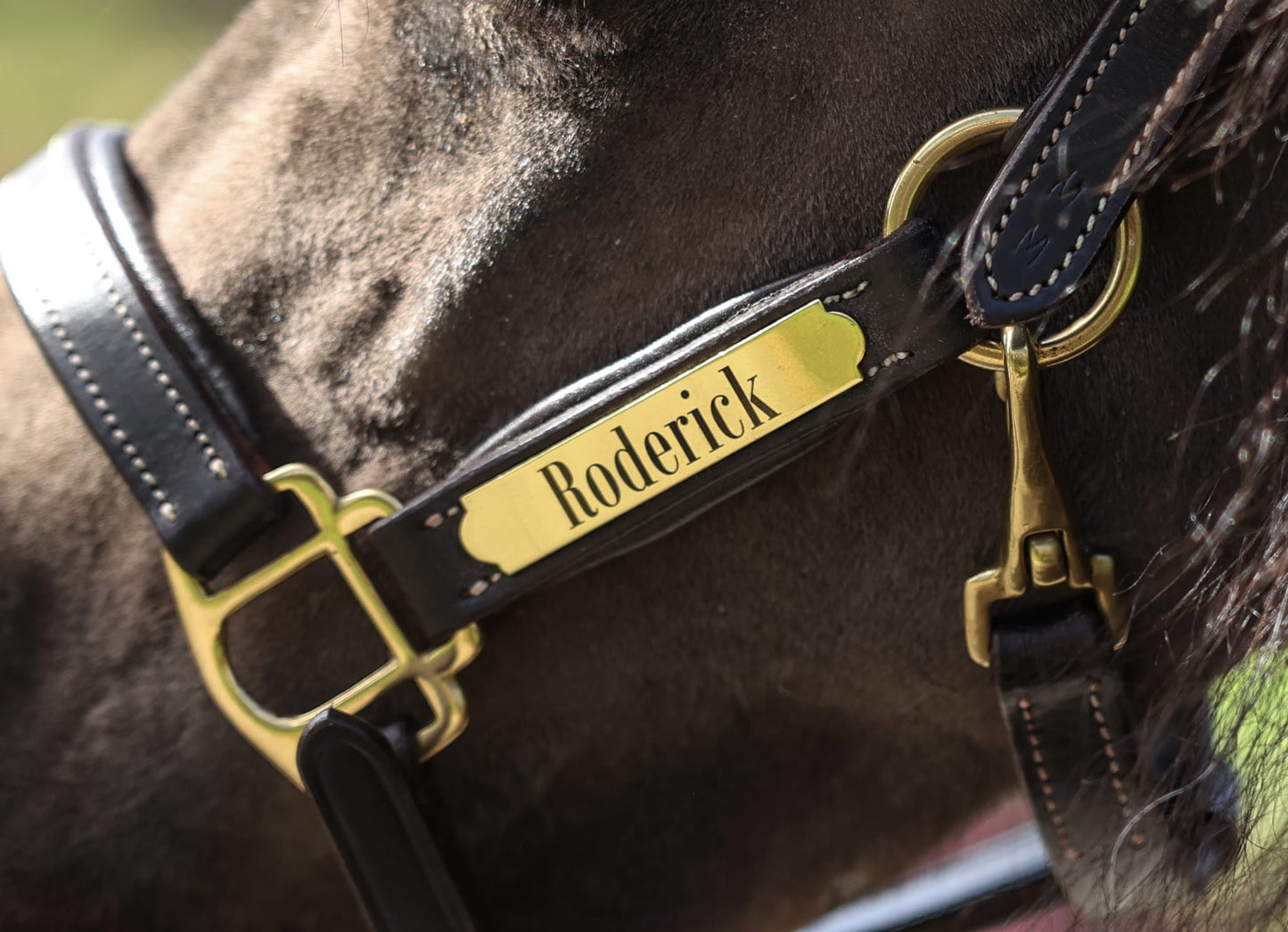 TiCi luxe lederen halster "Classy" met naamplaatje