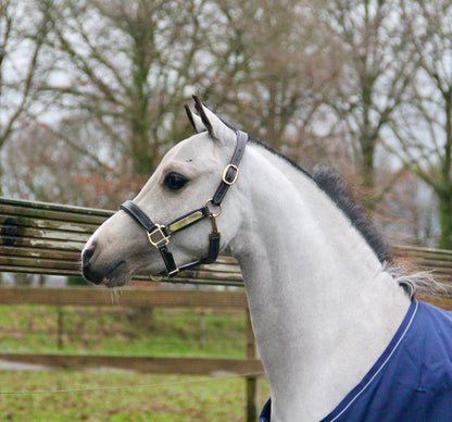 TiCi luxe lederen halster "Classy" met naamplaatje