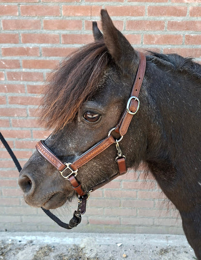 TiCi luxe lederen halster "Braided Black"